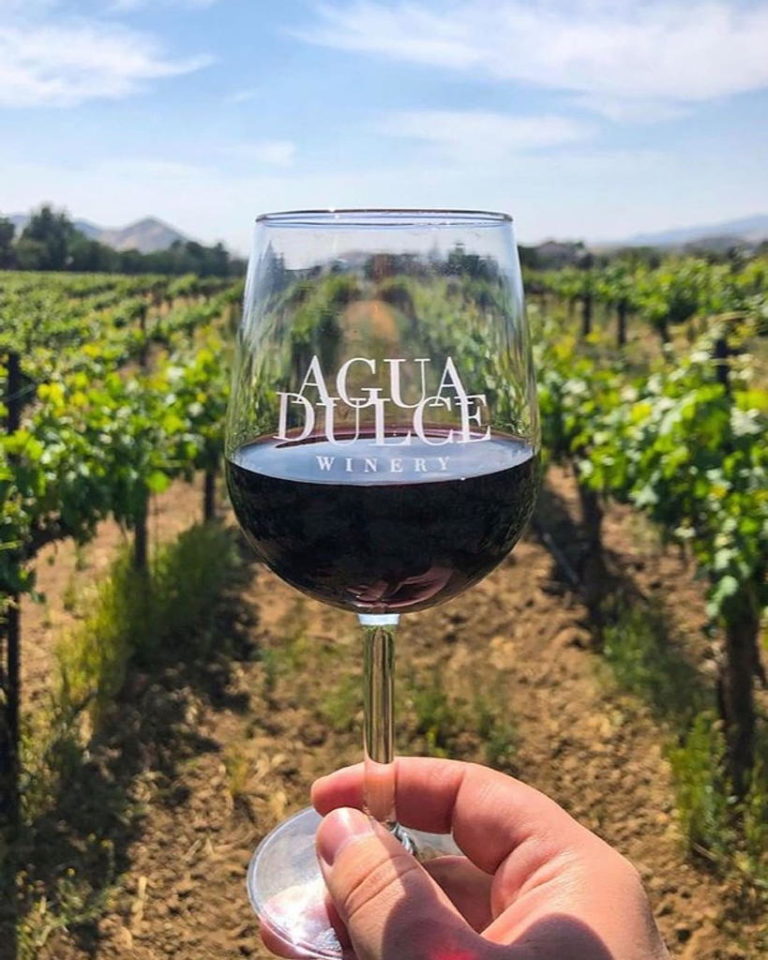 Discover LA's Artisanal Wines and Vineyards THEA at Metropolis