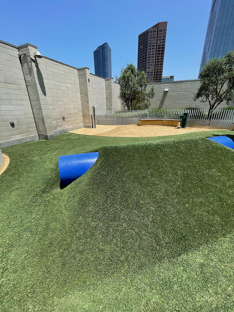 Pamper Your Pet with Amenities at THEA THEA at Metropolis