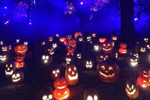Descanso Gardens Carved Halloween event near THEA residences in Downtown Los Angeles