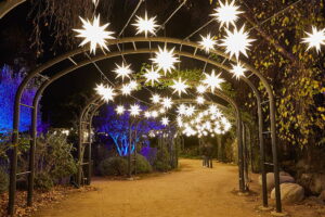 Enchanted Forest at Descanso Gardens near THEA residences in Downtown Los Angeles